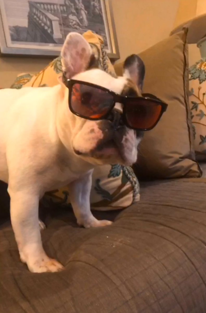 Brian Burgess tweet media