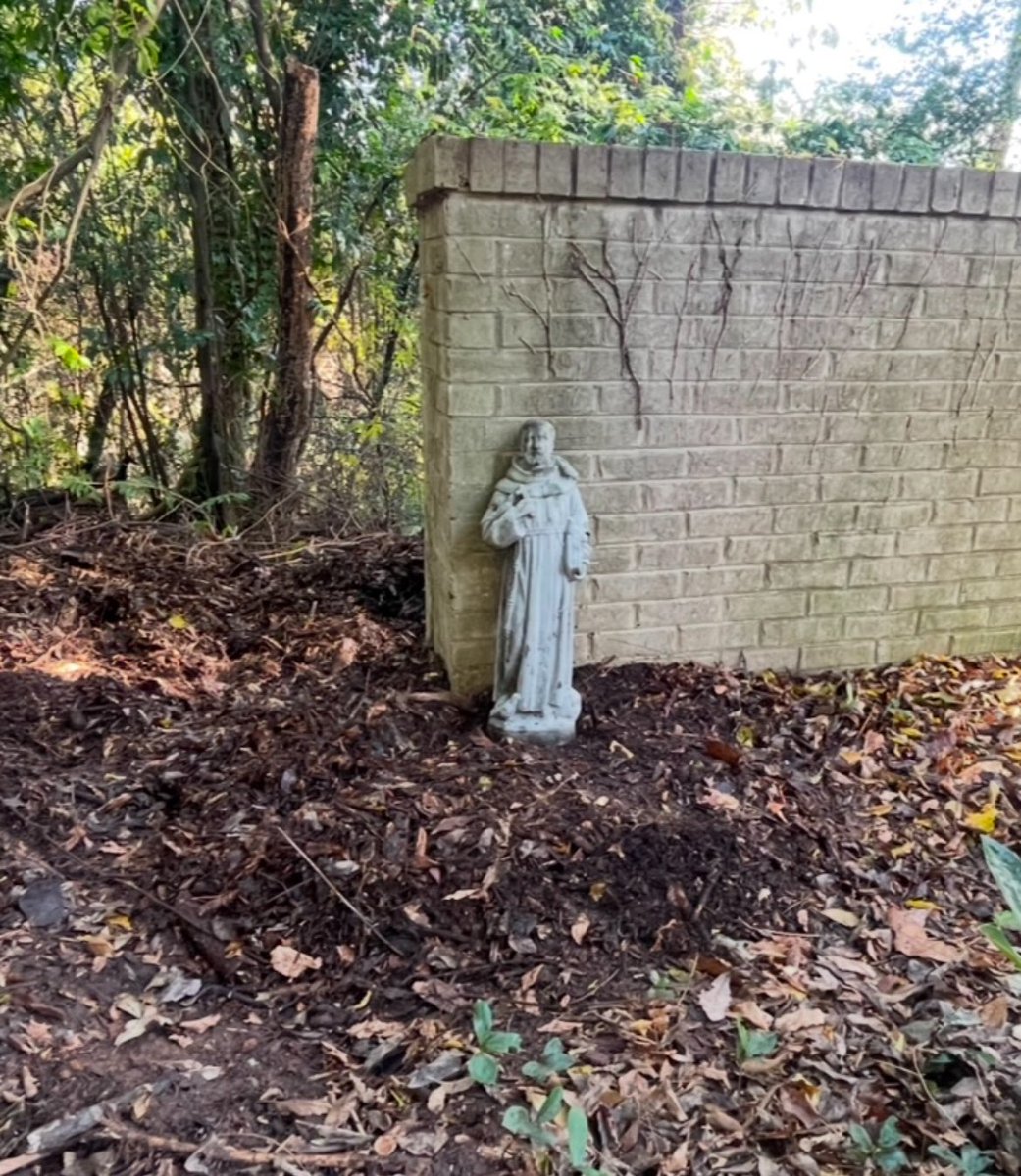 Brian Burgess tweet media