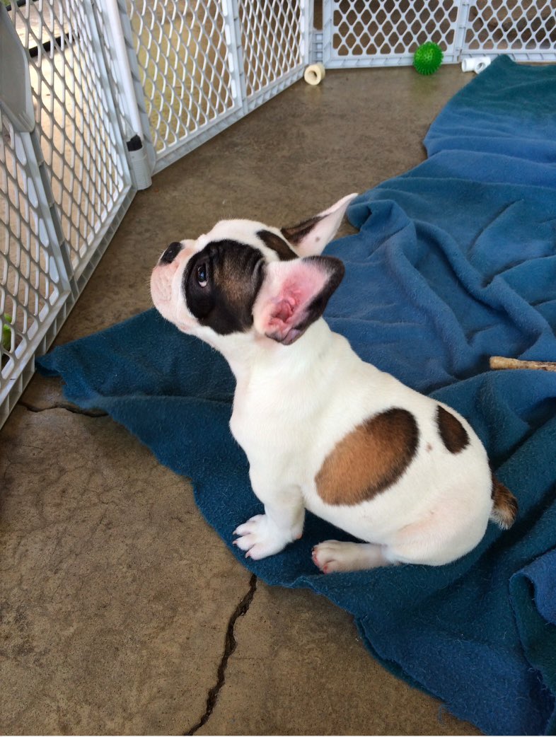 Brian Burgess tweet media