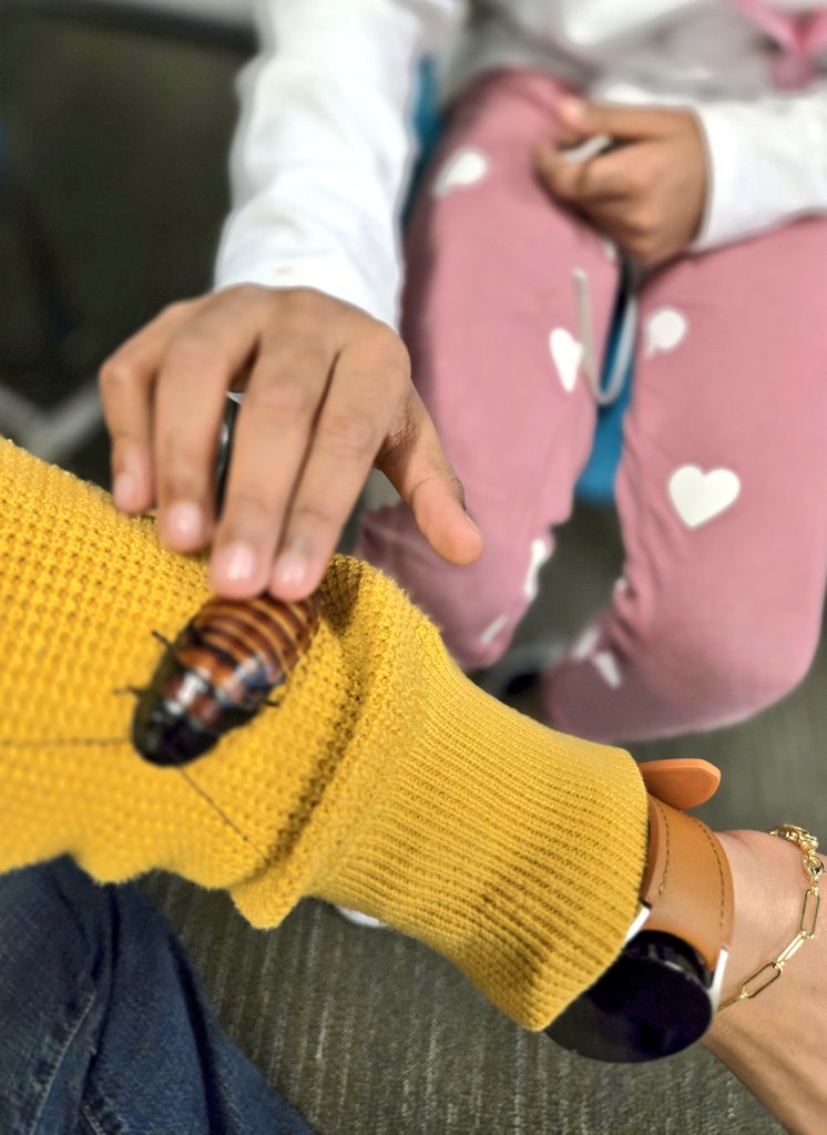 Ms. Smith - Math/Science tweet media