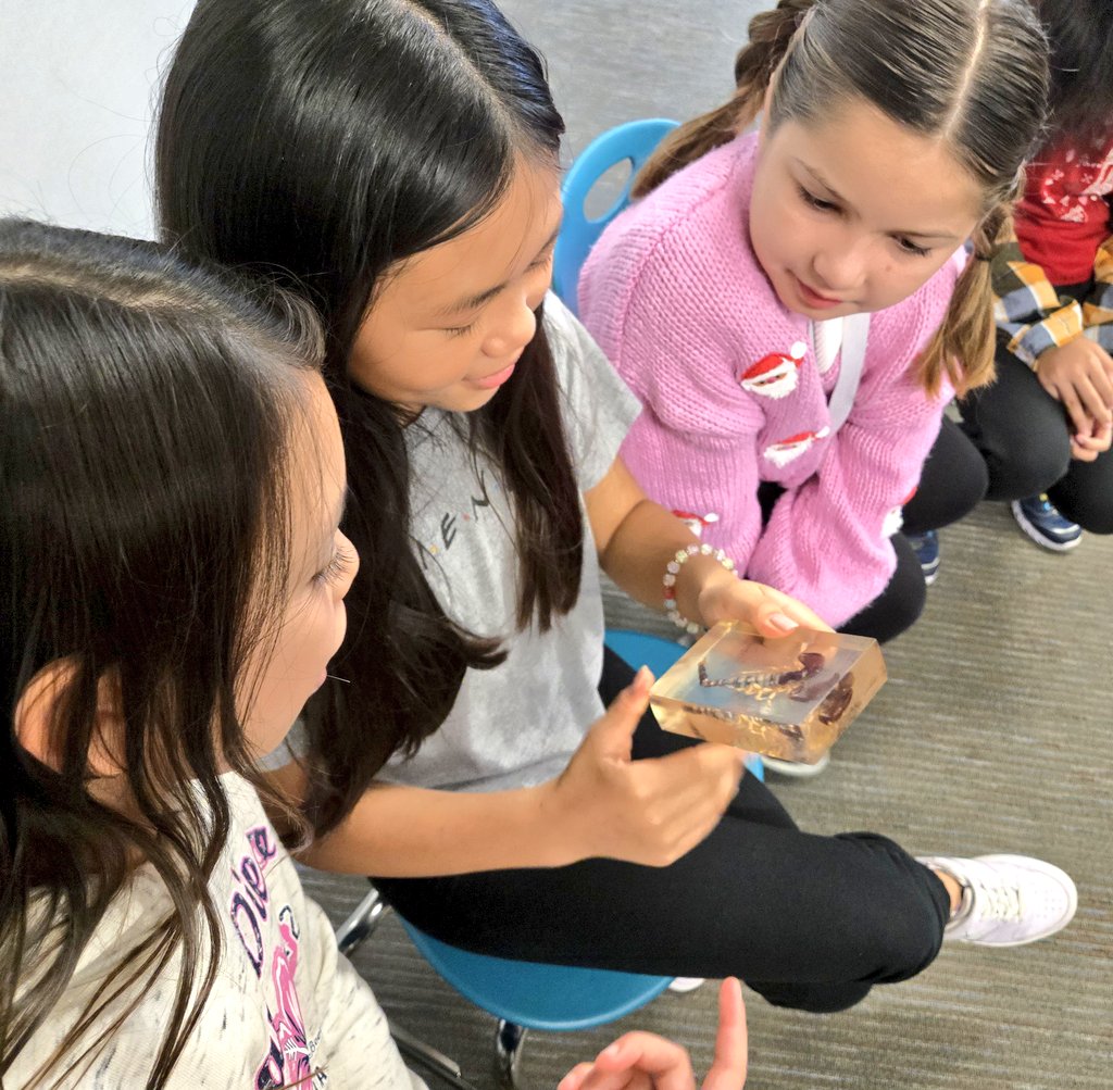 Ms. Smith - Math/Science tweet media