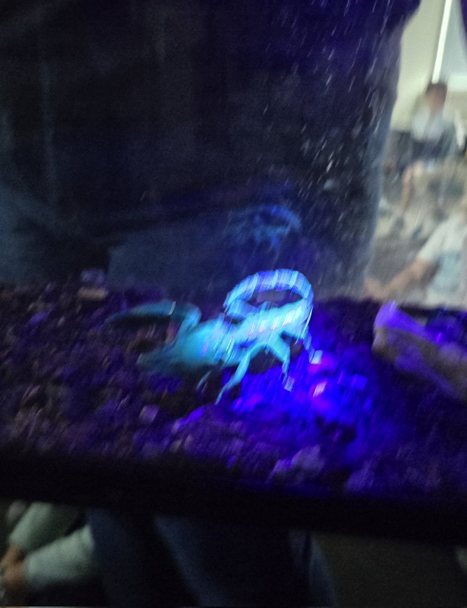 Ms. Smith - Math/Science tweet media