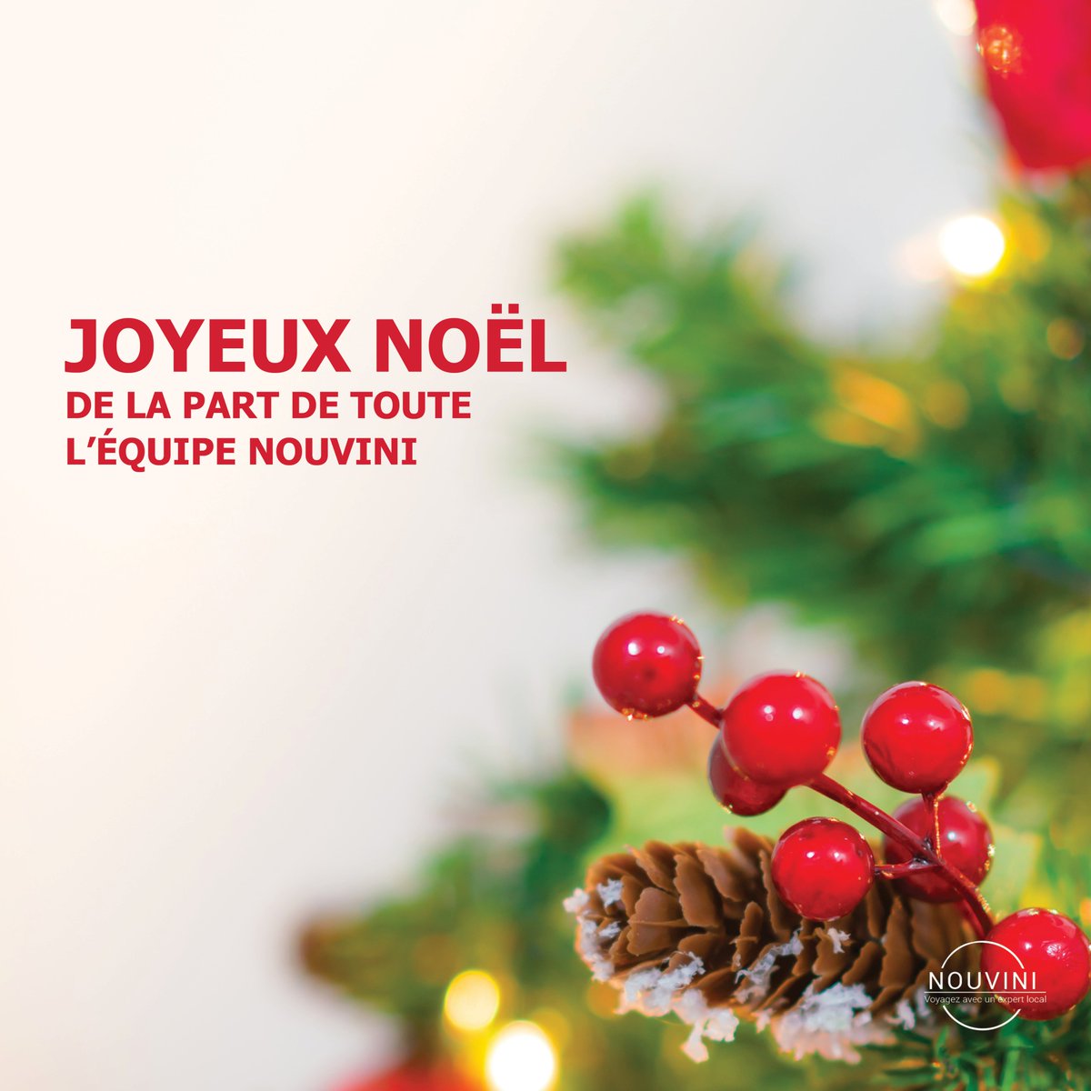 🎅 Joyeux Noël de toute l'équipe Nouvini ! ✨

Nous vous souhaitons des moments magiques avec vos proches ❤️. Que cette journée soit remplie de joie et de rêves… peut-être ceux de votre prochain voyage ? 

Quelle destination aimeriez-vous trouver sous le sapin ? 🎁
#JoyeuxNoël