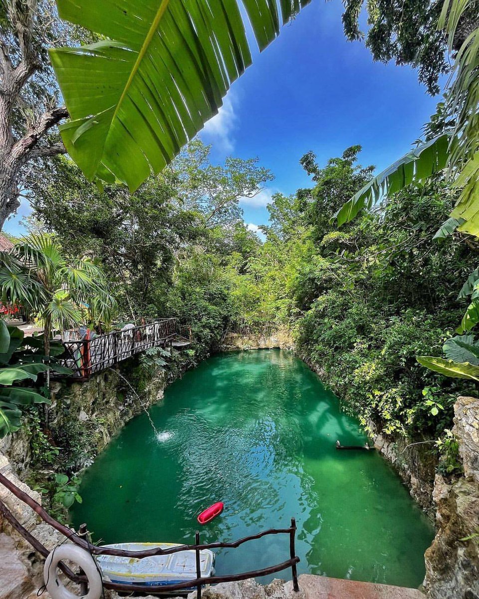 AHCancun's tweet photo. De acuerdo a los registros de los asociados, Jesús Almaguer, señala que para esta temporada alta de invierno se prevé una ocupación entre 85% y 95% en los destinos.

Dichas cifras se han visto desde los días previos a la celebración de Thanksgiving, así como los fines de semana largos de los últimos meses, los cuales generaron incrementos en el flujo turístico durante 2024, con un aumento entre 5% y 10% en las ocupaciones hoteleras.

#AHCPMIM #Cancún #PuertoMorelos #IslaMujeres #CaribeMexicano