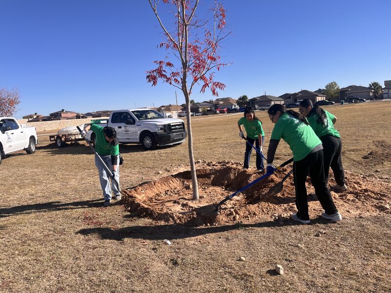 🌳 Volunteer with 915 Tree Keepers this Saturday! 🌳 We’re inviting the El Paso community to come out and help us plant 15 trees and make a lasting difference in our city.

Event Details: 
🗓 Date: Saturday, December 7th
⏰ Time: Starting at 8 AM
📍 Location: Delta Park, El Paso