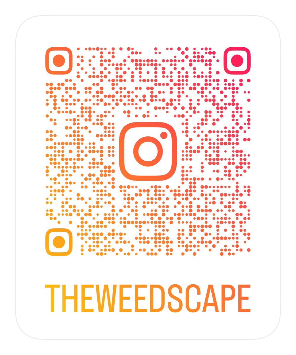 Weedscapeinc's tweet photo. #Weedscape - We are from #Worcester #Massachusetts and we like all types of #Plants…#cannabis #Pollinators https://t.co/O2OjbldMzS