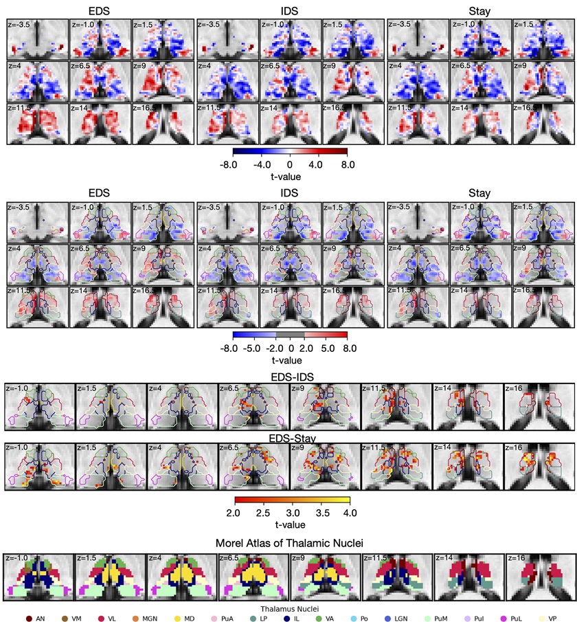 PLOSBiology's tweet photo. What is the role of the thalamus in cognitive flexibility? Xitong Chen @kaihwang12 &co show that the human #thalamus, with its thalamocortical interactions, encodes & updates context representations during hierarchical #CognitiveControl #PLOSBiology https://t.co/EQGLbLaSHO https://t.co/E2wi0SJWH2