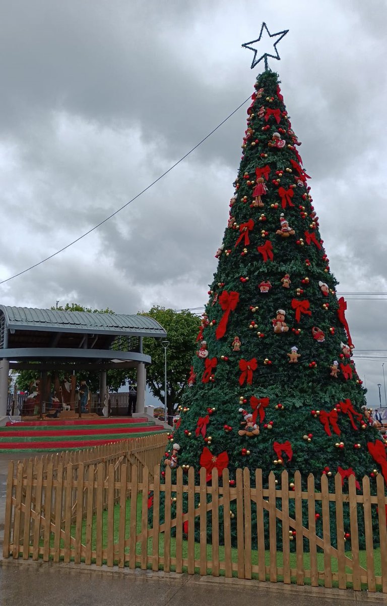 Rodrigo Wainraihgt Galilea tweet media