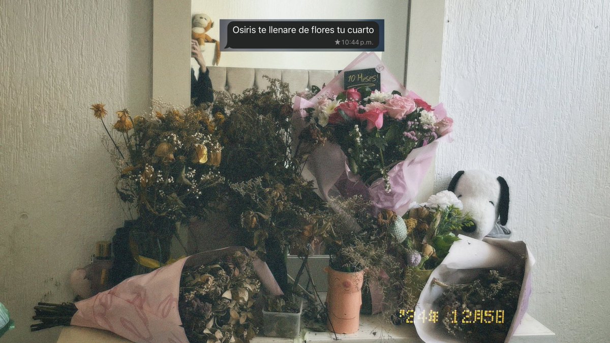 osiris_riv's tweet photo. te amo siempre 🤍 https://t.co/N7a4C6qvJc