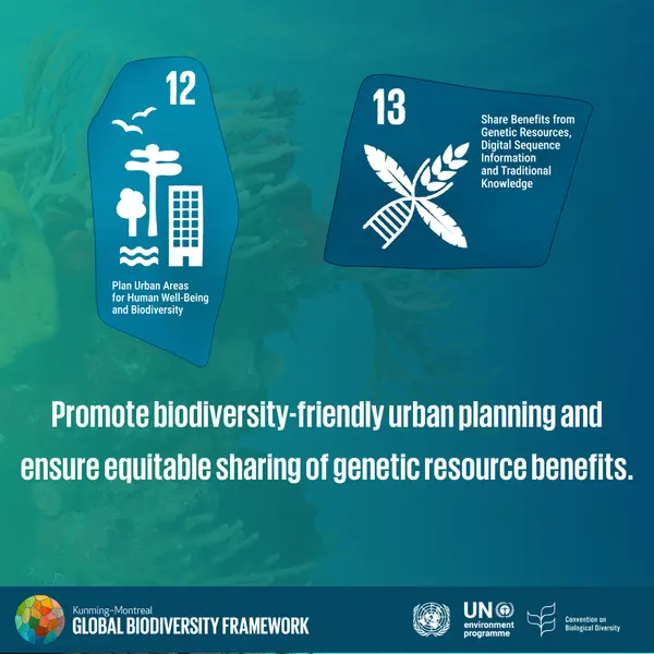 UNBiodiversity's tweet photo. On the 2nd anniversary of the #KMGBF, learn how the targets focus on meeting people’s needs through sustainable use and benefit-sharing. Find out which targets address this vital aspect (9–13): 

More➡️https://t.co/FjmzLcfLIA

#PeaceWithNature https://t.co/8GjrGn2Z0H