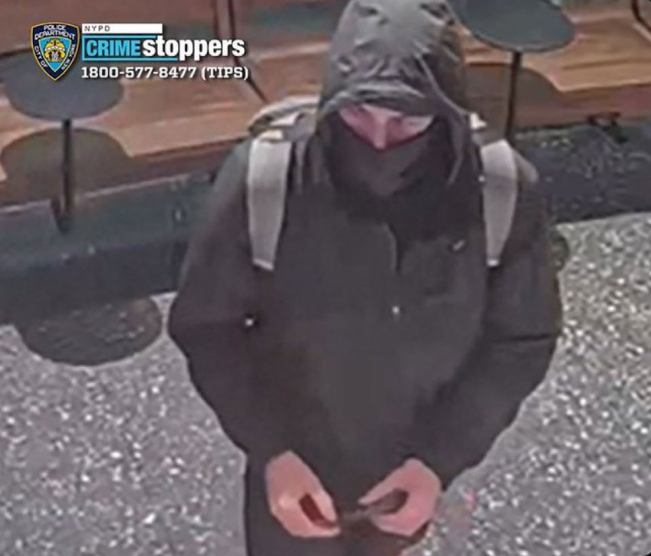 Tim Pool tweet media