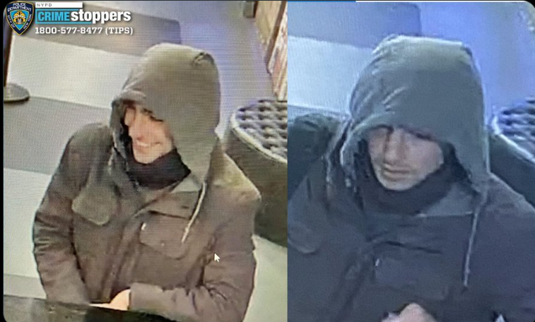 Tim Pool tweet media