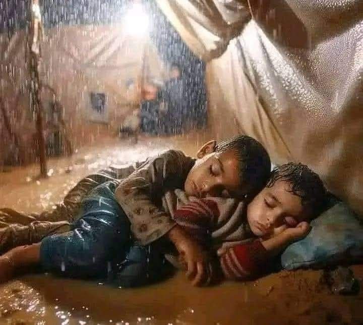 Help_Gaza2024's tweet image. The children of Gaza are not to blame for the war. Let us help them to make them smile
gofund.me/41d73e55