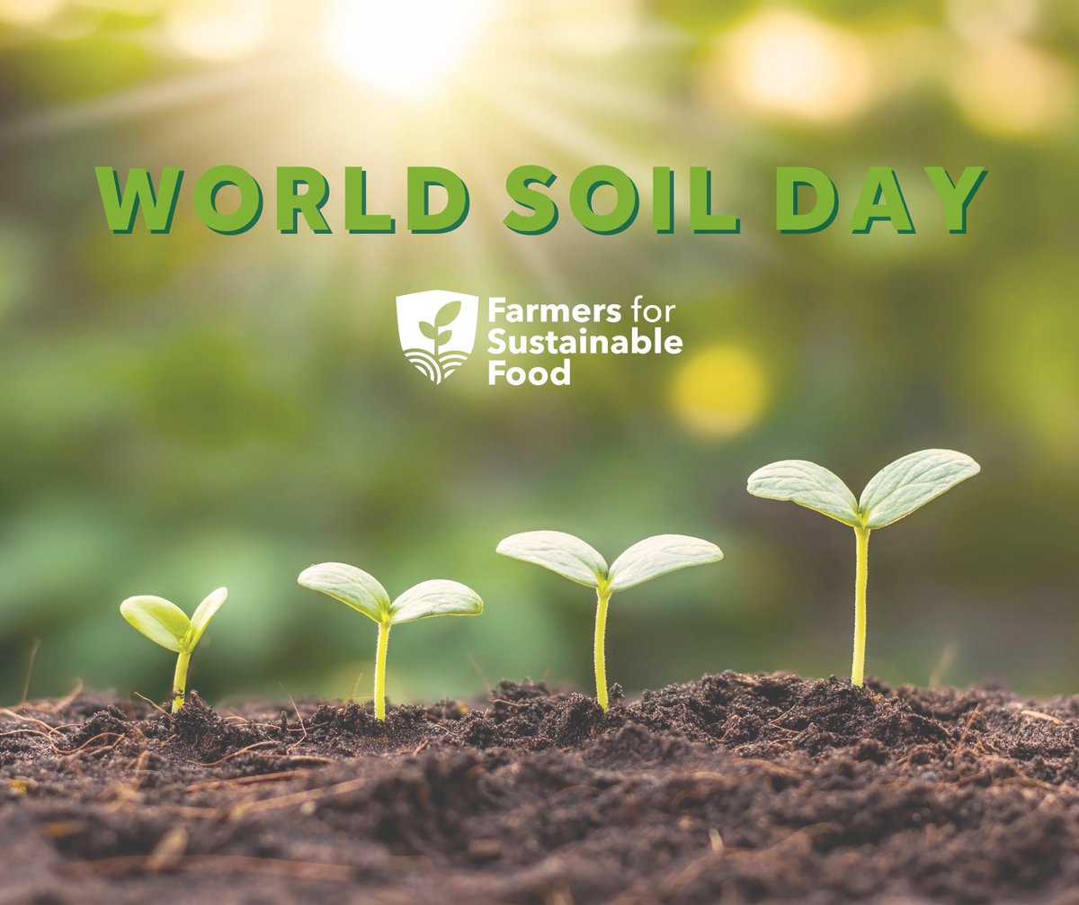 In honor of #worldsoilday, we thank the farmers who work every day to protect and improve soil health. Last year, farmers supported by FSF reduced sediment loss by 338,391 tons, equivalent to 33,839 dump trucks’ worth of soil. Learn more here: bit.ly/4dEXSb0