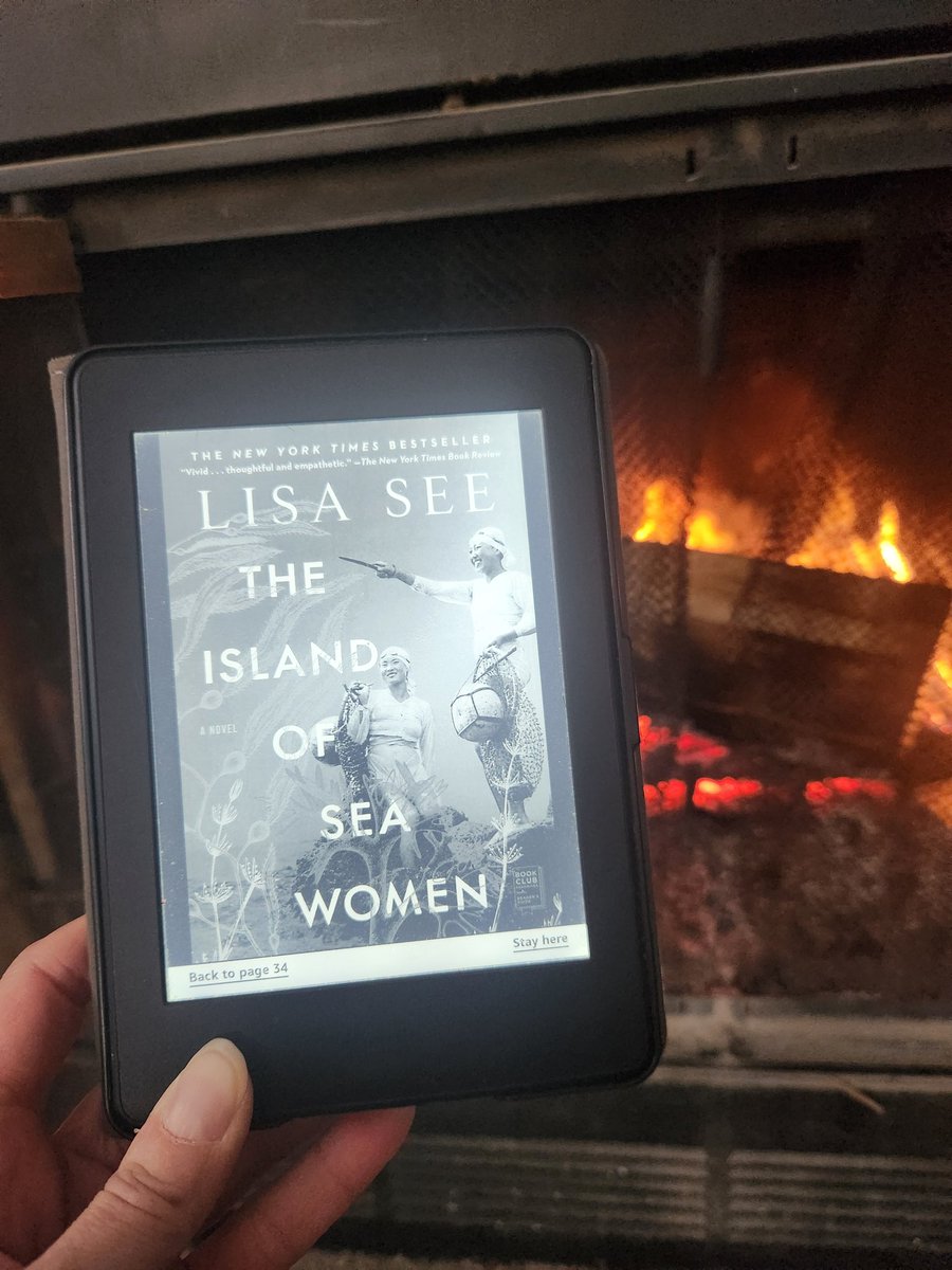 thomsonlori's tweet photo. @PaulineDierkens @MrGriffisSHS Reading a new book by the fire... that's what I want to do on a snow day! https://t.co/x2pgyG5rNx