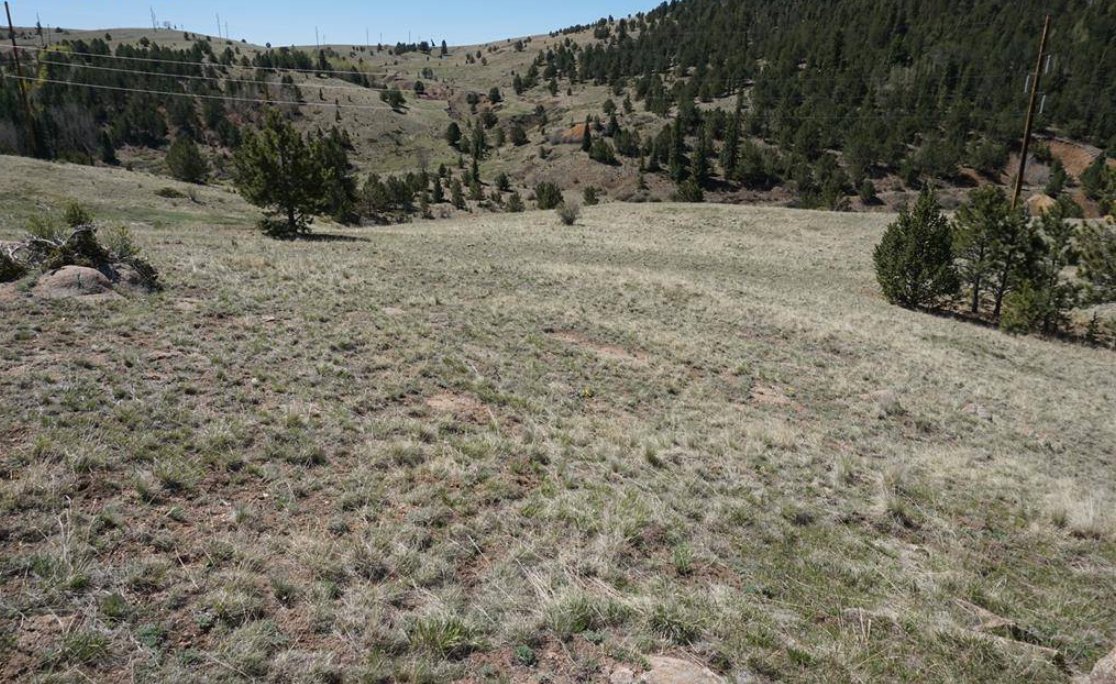 JasonRoshek's tweet photo. Over 2 acres with stunning views &amp; a prime building spot! Close to Historic Cripple Creek for year-round fun and ski towns for winter adventures. Buyers will need to dig a well and check utilities. Don’t miss out get in touch for more info!✨ https://t.co/NmGycdgKsY https://t.co/vPcsgYD2YY