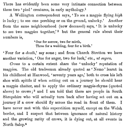 sacredism_com's tweet photo. Pica, are you listening?
#Magpies
from: Shropshire folk-lore, ed. by C.S. Burne, from the collections of G.F. Jackson https://t.co/Q3CkVtJ8eA