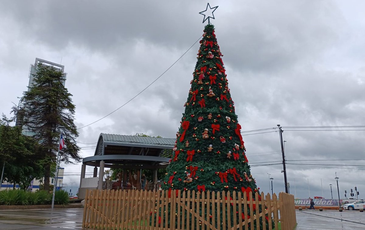 Rodrigo Wainraihgt Galilea tweet media