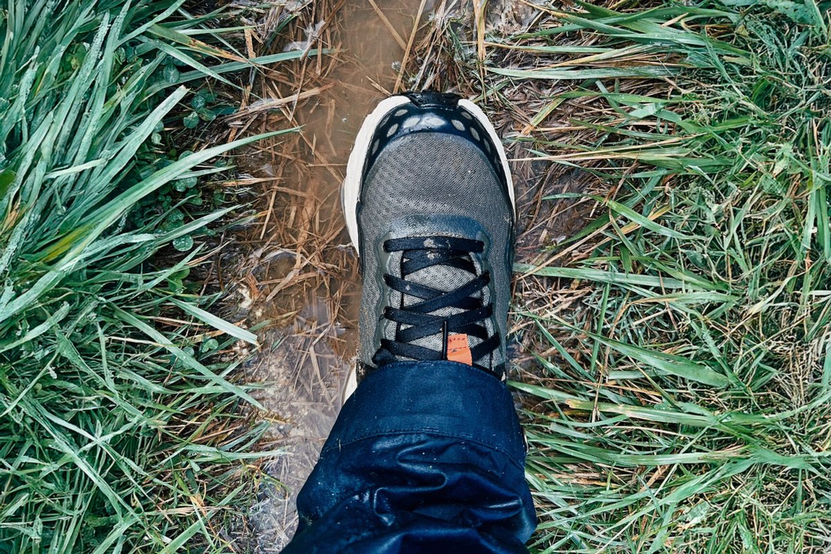 I-Trekkings tweet media