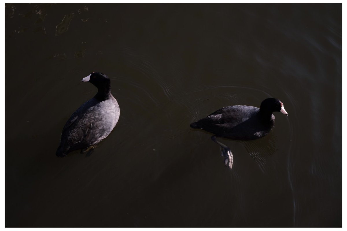 las colinas