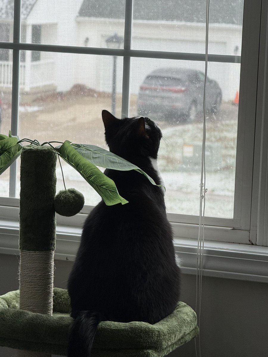 RustyGaming7 tweet media