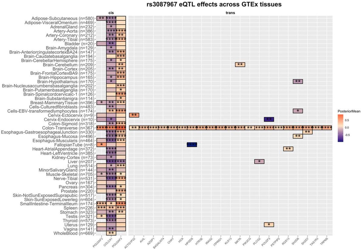 Gut Journal tweet media