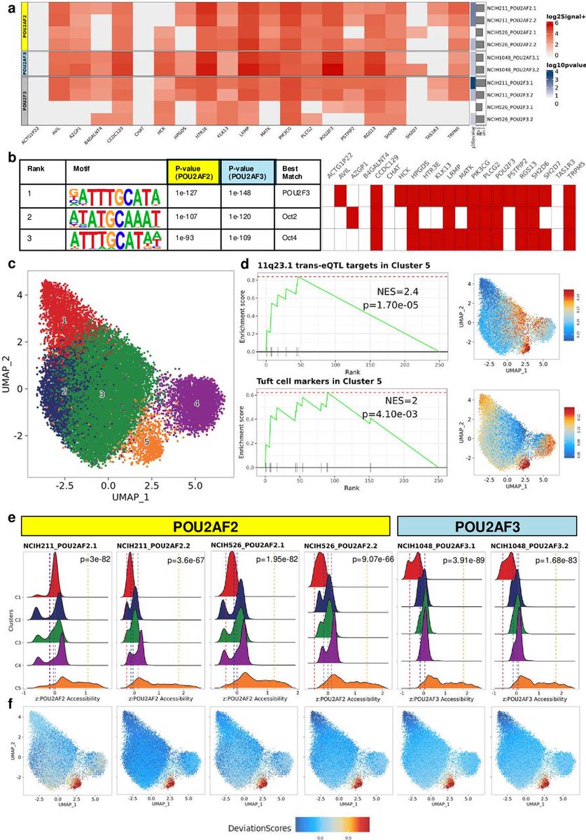 Gut Journal tweet media
