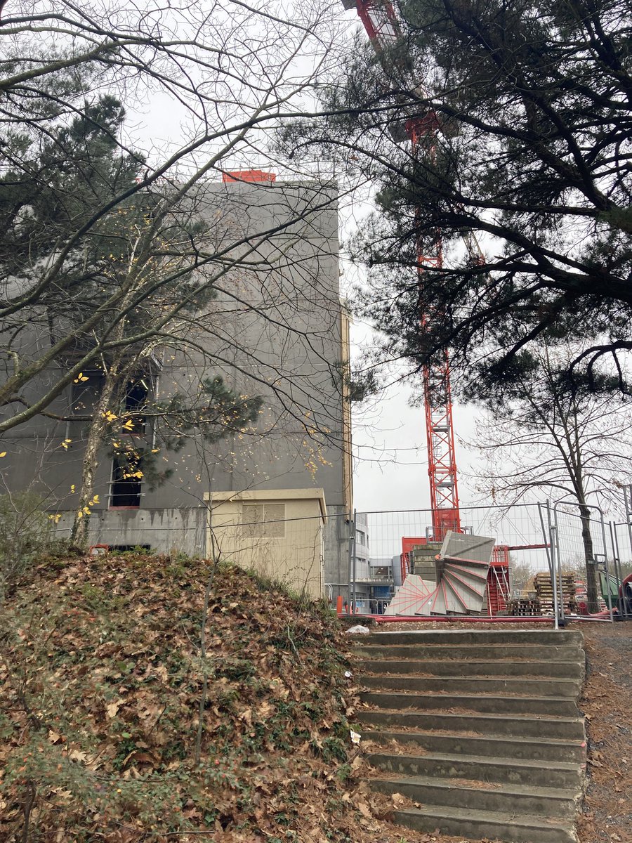 Le campus Belle-Beille poursuit sa mue. Visite de presse cet après midi sur le chantier de rénovation et extension de la Faculté lettres, langues et sciences humaines. L’amphi E a été déconstruit. Il laissera sa place à de nouveaux locaux administratif et étudiants.