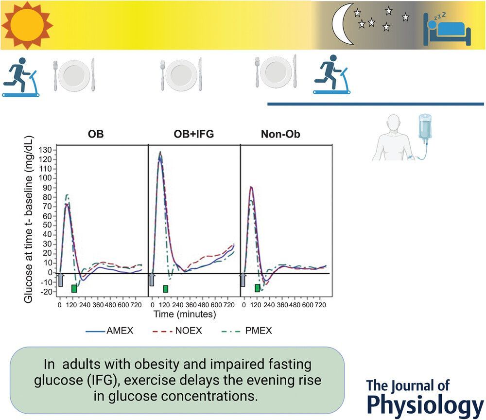 Journal of Physiology (@jphysiol) on Twitter photo #Research by Jill A. Kanaley (<a href="/MizzouNEPRes/">Mizzou Nutr & ExPhys Research</a>) et al. examines temporal optimization of exercise to lower fasting glucose levels ⏰ 🏃
Read their work here: buff.ly/4geRjfD #Research by Jill A. Kanaley (<a href="/MizzouNEPRes/">Mizzou Nutr & ExPhys Research</a>) et al. examines temporal optimization of exercise to lower fasting glucose levels ⏰ 🏃
Read their work here: buff.ly/4geRjfD