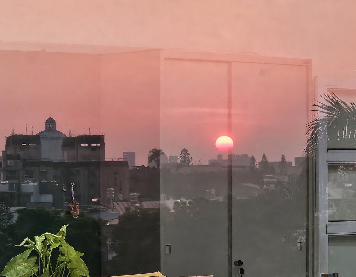 喜歡的歡喜
美好的好美
我愛的愛我
……
天地與我並生
萬物與我為一
夕陽無限好
黃昏亦風景

#日常生活 #拾遺有感 #日暮