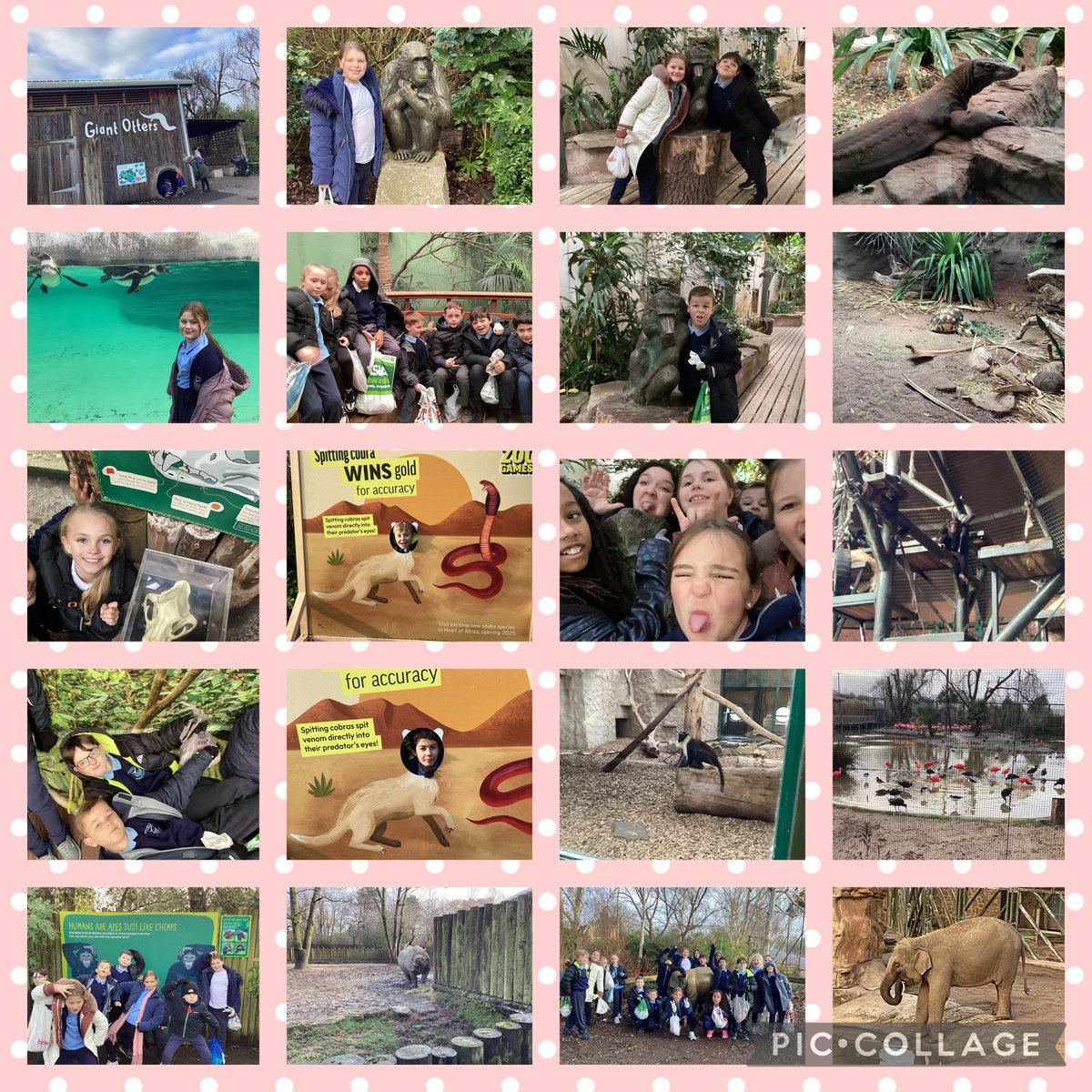 What a wonderful time 5H had at <a href="/chesterzoo/">Chester Zoo</a> on Tuesday! We can’t stop talking about it! <a href="/StocktonwoodHT/">Mrs Clovis</a>