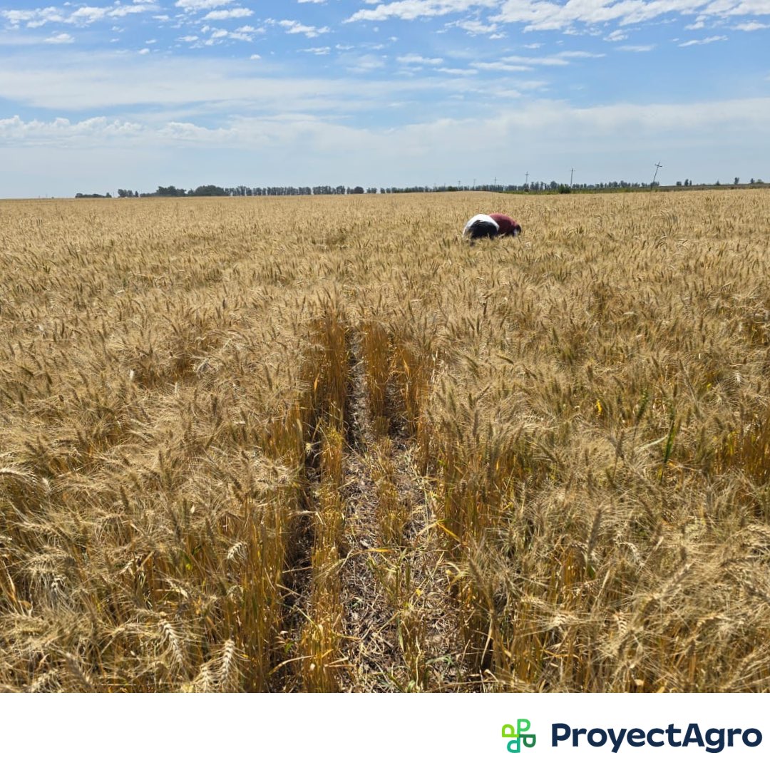 ProyectAgro tweet media