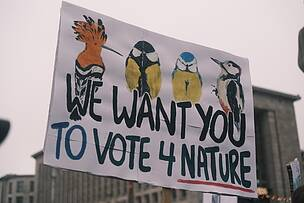 In an open letter to President <a href="/vonderleyen/">Ursula von der Leyen</a>, 26 environmental NGOs:
⚖️stress the critical role of civil society in EU policy-making 
💰reiterate their commitment to transparency &amp; accountability

#LIFEprogramme  

More info: wwf.eu/?16207941/NGOs…