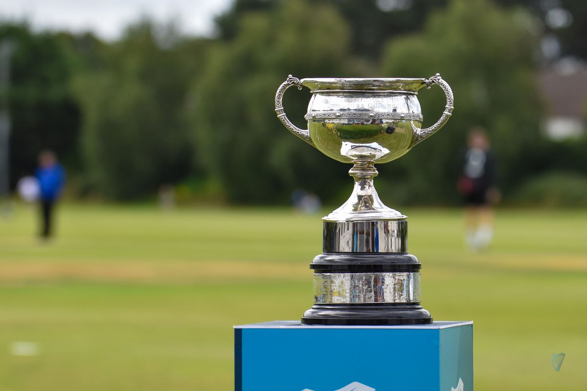 Cricket Leinster tweet media