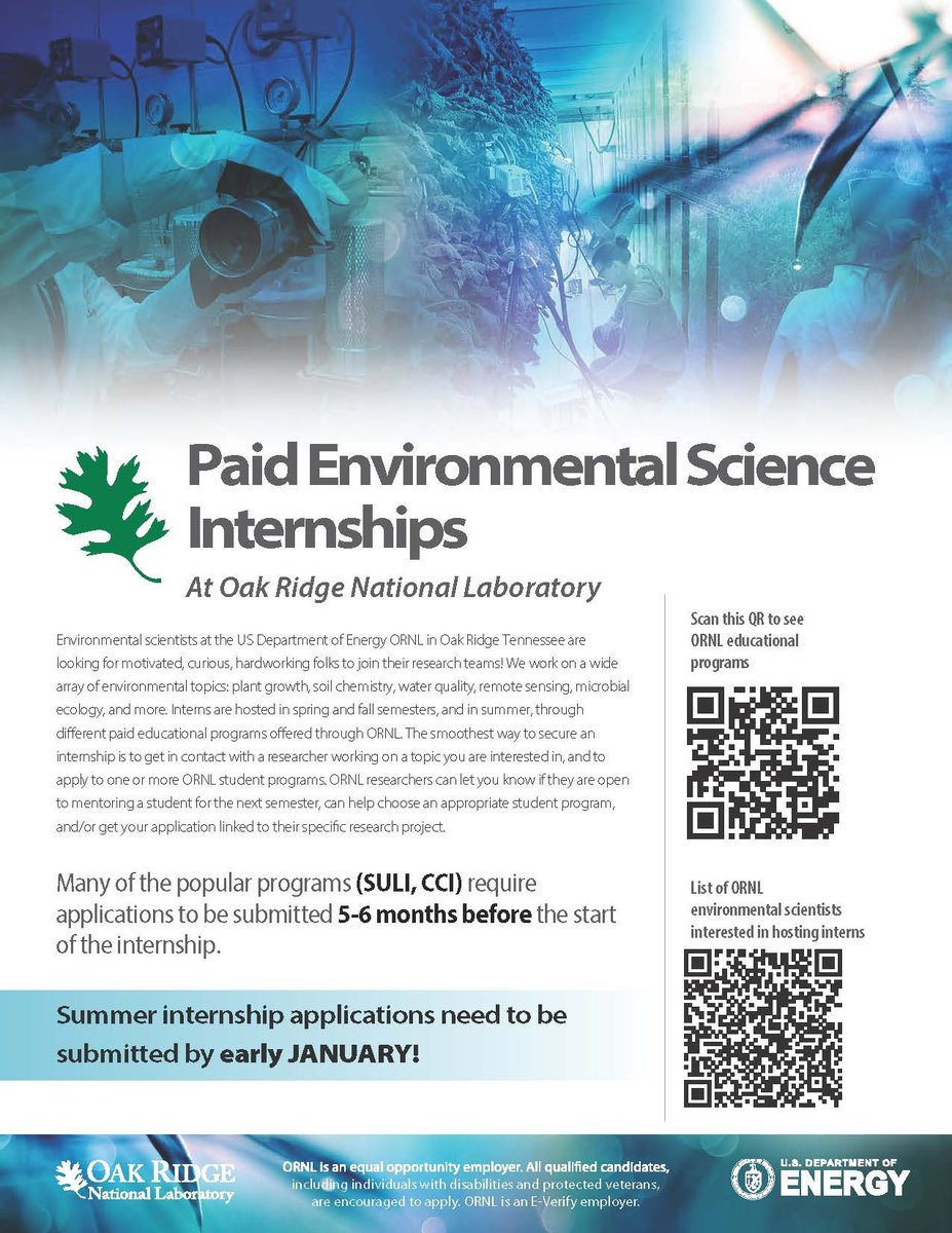 Fernanda Santos tweet media