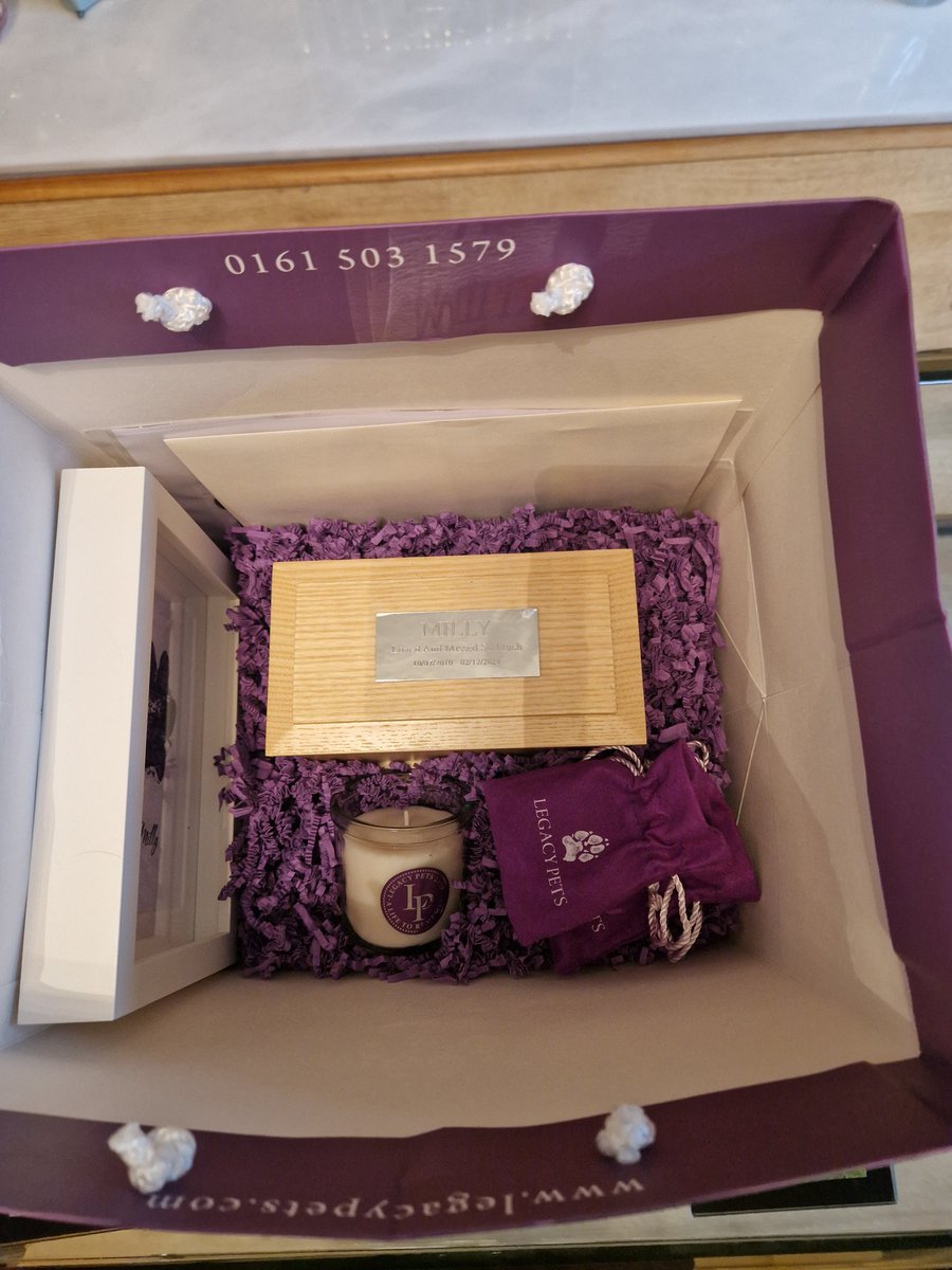 Milly - Golden Bloom Gal tweet media