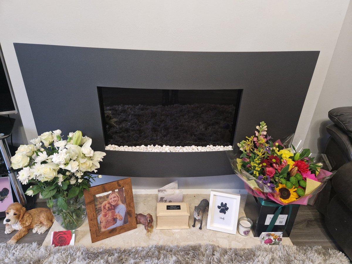 Milly - Golden Bloom Gal tweet media