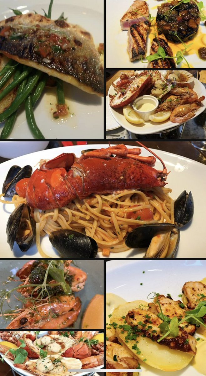 Experience the Best Seafood in North London at Matthews Kitchen!”We’re not just a Mediterranean seafood restaurant—we’re a family-run gem in Whetstone, North London (N20 9HJ),serving up  fresh seafood, and unforgettable moments!📍Matthews Kitchen | High Street,Whetstone, N20 9HJ