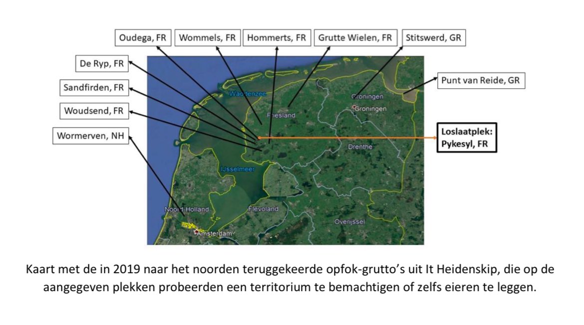 Hoop commotie over het uitbroeden van grutto eieren. Ook een hoop uit de losse pols reacties.

Ik denk niet dat het verstandig is maar belachelijk maken is te makkelijk.

Het is al gebeurd en onderzocht door RUG. Het resultaat zal je wellicht verbazen. 👇

friesevogelwachten.nl/assets/media/d…
