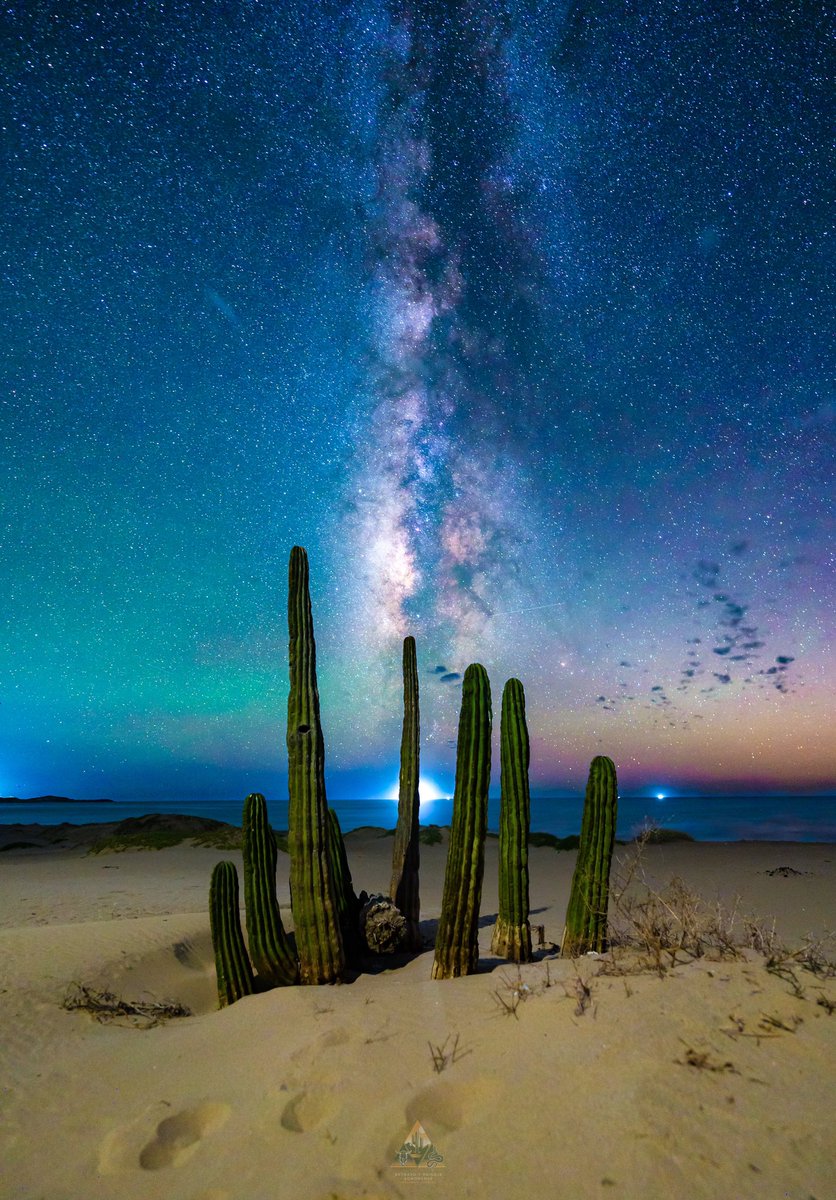 GGerardox2's tweet photo. Desierto, mar, estrellas… SONORA❤️ https://t.co/nISkuWwXIY