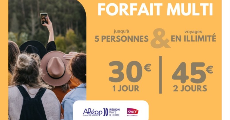 TERPays2LaLoire's tweet photo. [#OnEnProfite] 🎫 Vous voyagez à plusieurs en famille ou entre amis ? Pensez au #ForfaitMulti ! Celui-là permet de vous déplacer ensemble, jusqu'à 5 personnes, sur un axe précis du @reseau_Aleop et en illimité pendant 1 ou 2 jour(s).

Suivez le guide ! ⤵️