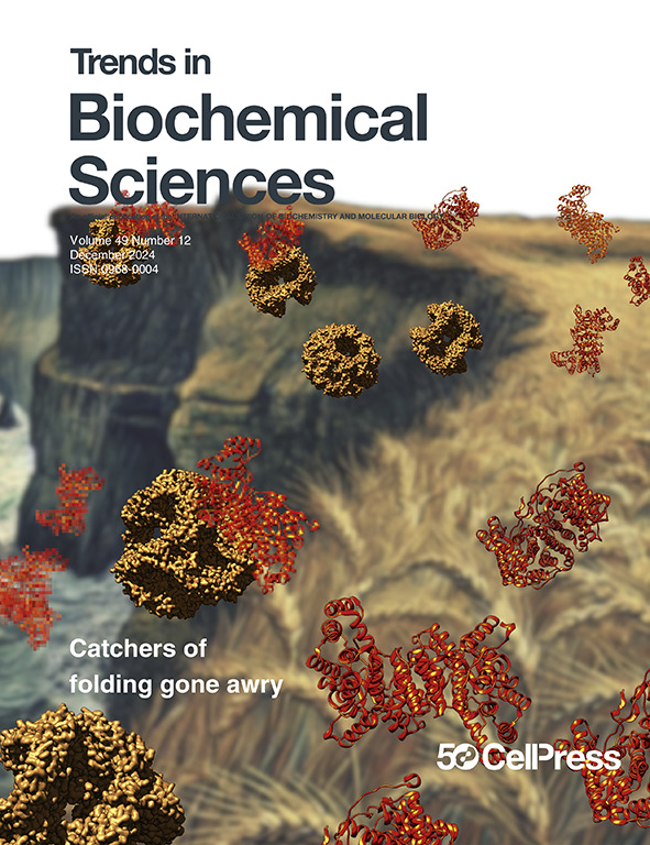 Trends in Biochemical Sciences (@trendsbiochem) on Twitter photo Our❄️December❄️issue is live!
Depicted on the cover - how #sHSPs 'catch' non-native proteins to protect the proteome. Read the Review "Catchers of folding gone awry: a tale of small heat shock proteins" from <a href="/buchnerlab_tum/">BuchnerLab</a> and colleagues.
Find it here: cell.com/trends/biochem… Our❄️December❄️issue is live!
Depicted on the cover - how #sHSPs 'catch' non-native proteins to protect the proteome. Read the Review "Catchers of folding gone awry: a tale of small heat shock proteins" from <a href="/buchnerlab_tum/">BuchnerLab</a> and colleagues.
Find it here: cell.com/trends/biochem…