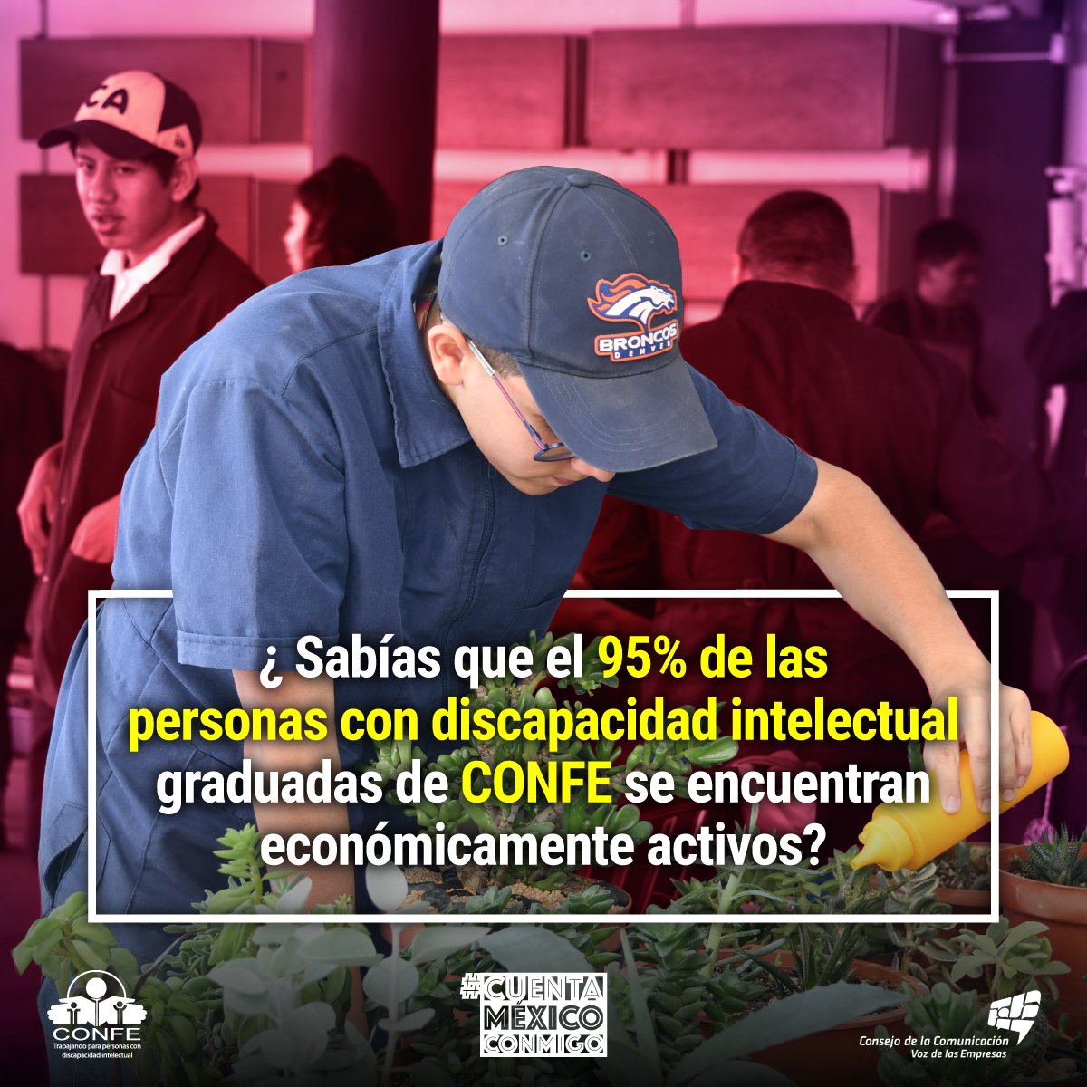 ConmigoMexico's tweet photo. Una oportunidad laboral es el principio en el camino de la independencia de las personas con discapacidad intelectual. Más información en : https://t.co/0jIuqWTGpO
#InclusiónLaboral #CONFEMx https://t.co/9TnOlINPK0