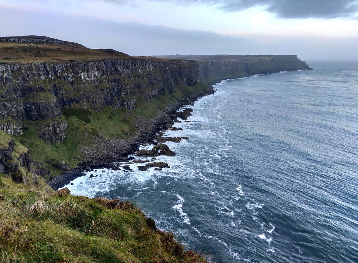 _Stickybeak's tweet photo. Hello Fulmars, welcome back 🤩 Looked down on dozens and dozens swirling around the cliffs this morning, with more around their other nesting sites stretching away into the distance. Always the earliest of Rathlin's seabirds to return - first week of December is bang on schedule https://t.co/ryJCY31geb
