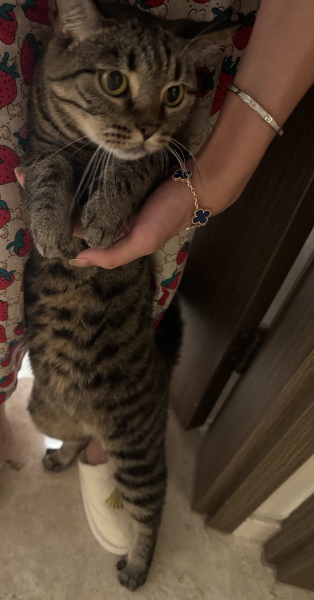 Irene Zhao tweet media