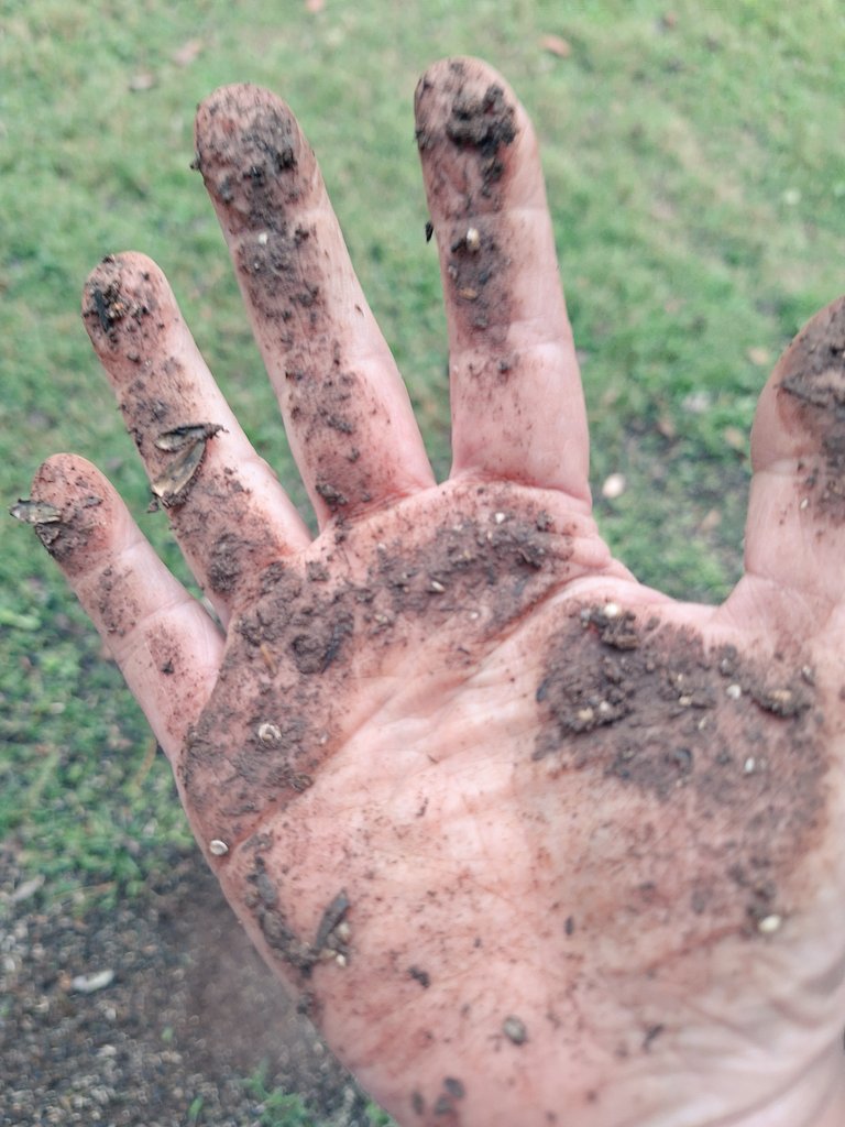 VeilSeeker tweet media