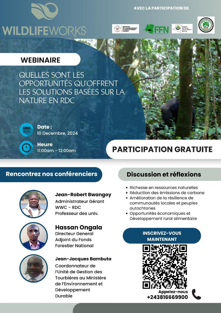 Groupe de Travail Climat REDD+ Rénové (@gtcrr1) on Twitter photo Webinaire Webinaire