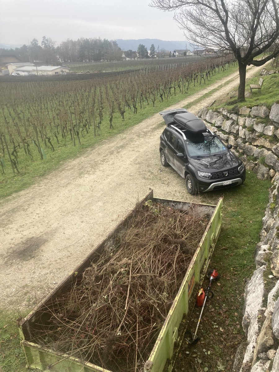 Samedi matin, six bénévoles ont mis la main à la pâte pour arracher ronces et buissons du côté de la Neuveville lors d’un chantier nature, destiné à remettre en état une prairie sèche. Un milieu très précieux pour la faune et la flore !

#parcchasseral #biodiversite
