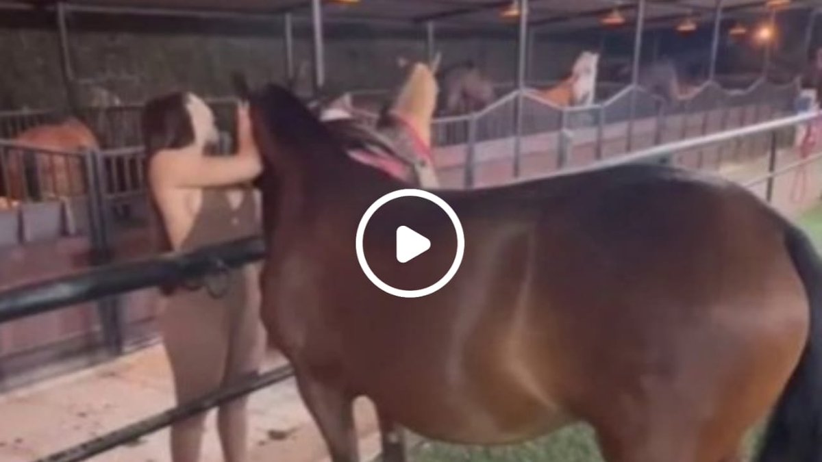 DJXLife's tweet photo. 😜Aída Victoria Merlano horse video leaked in twitter⬇️⬇️

watch full in commnt⛔ https://t.co/ZlQmb3XMeg