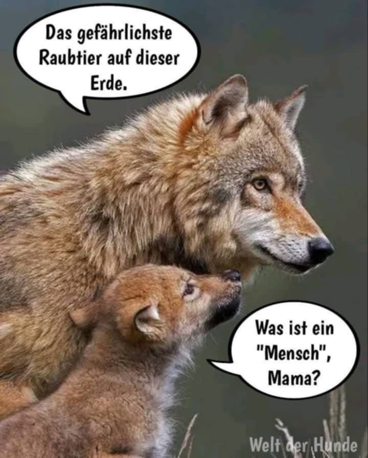 Gem_f_d_Tiere's tweet photo. WIE WAHR!!! https://t.co/3FfL1VQB2K